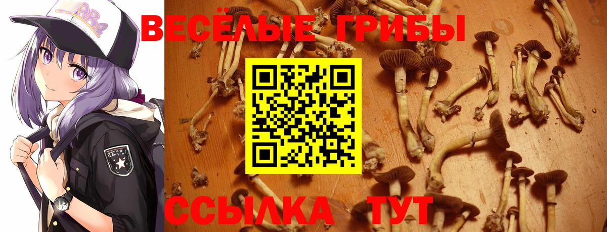 Галлюциногенные грибы GOLDEN TEACHER Кировск