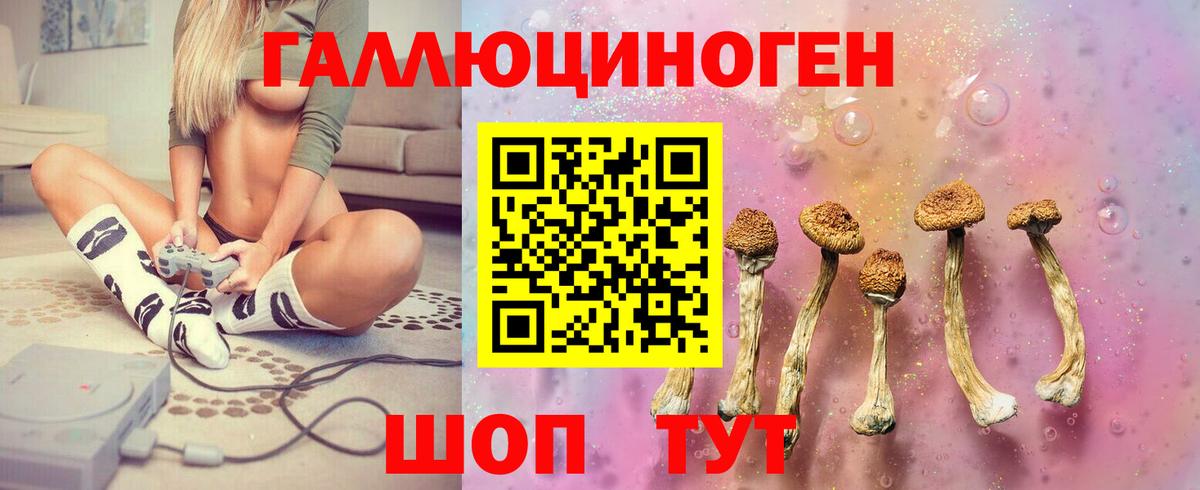 Кировск  Псилоцибиновые грибы мухоморы  Вход с VPN 